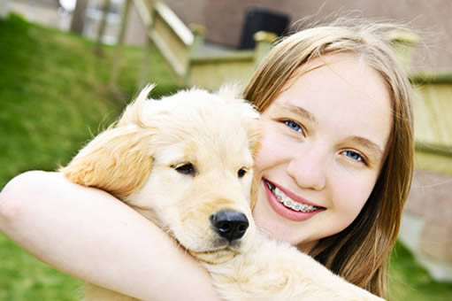 Dental Metal Braces